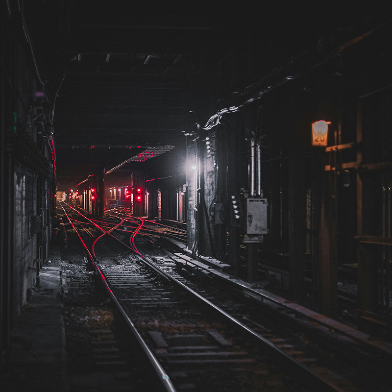 哈哈哈哈哈哈反反复复凤飞飞